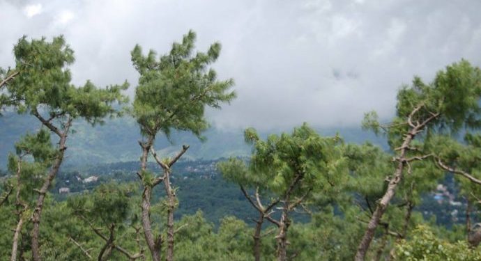 আসাম রাজ্যে শিলং পাহাড়ে ঘুরোঘুরি