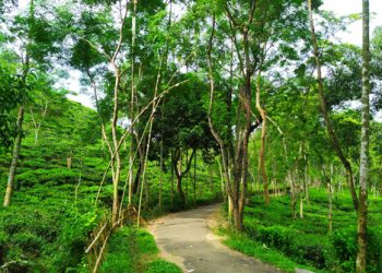 সিলেট শহরের দর্শনীয় যতো স্থান