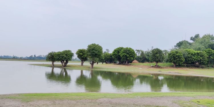 দুই চাকায় হিজল বনের খোঁজে