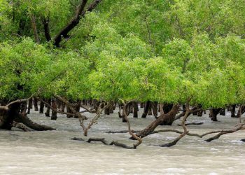দিনে ২ বার করে ডুবছে সুন্দরবনের বিভিন্ন এলাকা