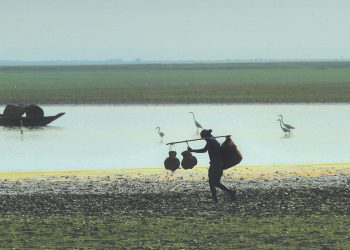 শীতের টাঙ্গুয়ার হাওড়