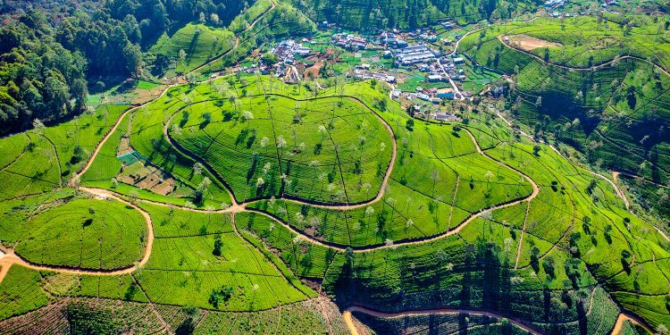 গরমের দেশে শীতের কামড়