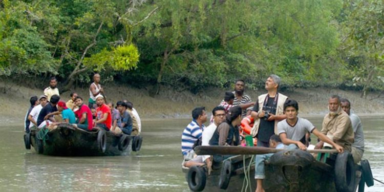 রোববার থেকে উন্মুক্ত হচ্ছে সুন্দরবন
