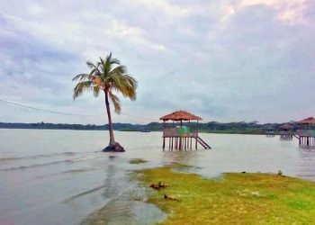 তুলাতুলি সৈকত