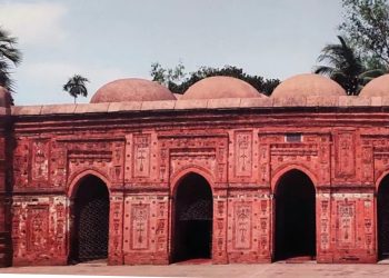 বাঘা জাদুঘর রাজশাহী