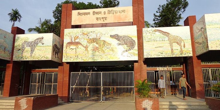 চিড়িয়াখানা