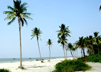 চরপাতিলা ও নারকেল বিচ