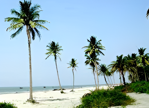 চরপাতিলা ও নারকেল বিচ