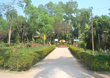 সুরভী উদ্যান