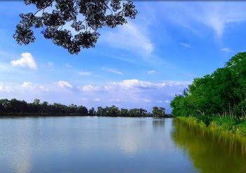 কড়াই বিল