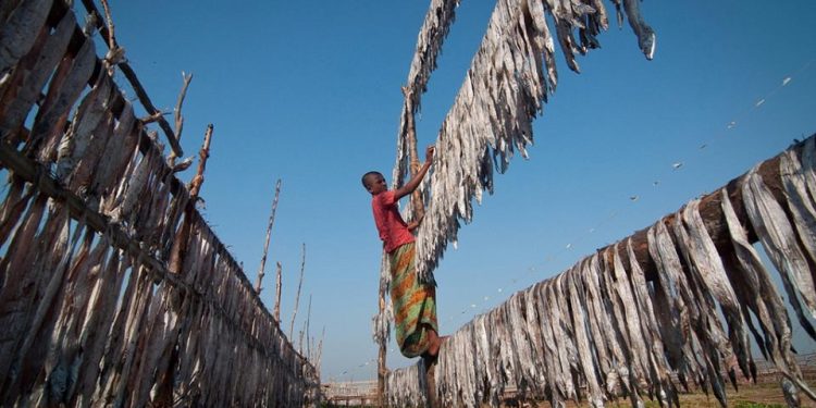 শুঁটকি পল্লী