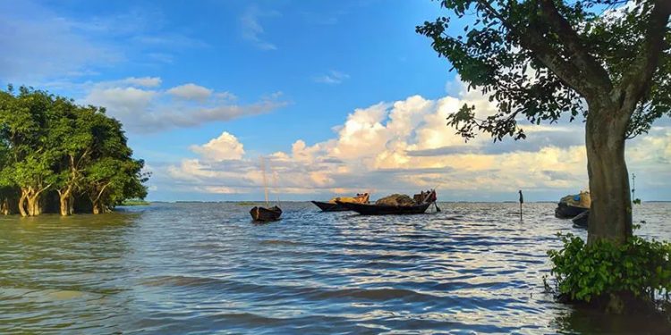 ডিঙ্গাপোতা হাওর