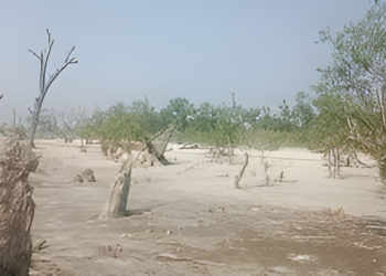 গঙ্গামতির চর