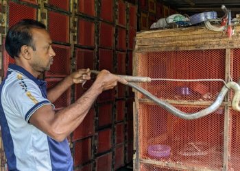 আব্দুর রাজ্জাক বিশ্বাসের সাপের খামার
