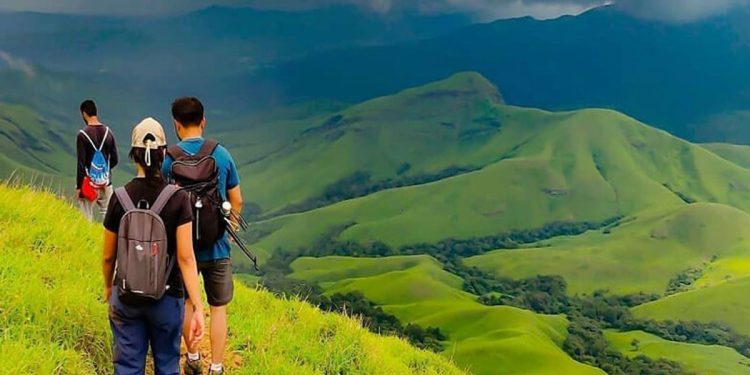 ভ্রমণে সাপের কামড় থেকে রক্ষা পেতে যা করবেন
