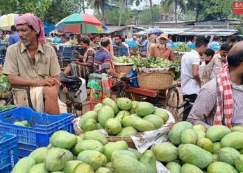 আমের রাজধানী চাঁপাইনবাবগঞ্জ