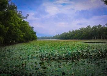 আলতাদিঘি জাতীয় উদ্যান