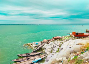 পদ্মার পাড় ও টি গ্রোয়েন