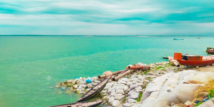 পদ্মার পাড় ও টি গ্রোয়েন
