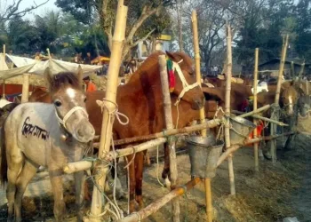 গোপীনাথপুরের ঐতিহ্যবাহী ঘোড়ার মেলা