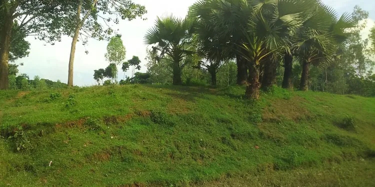 ওঝা ধন্বন্তরির ভিটা
