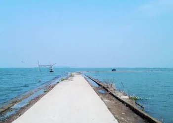 হালতির বিল