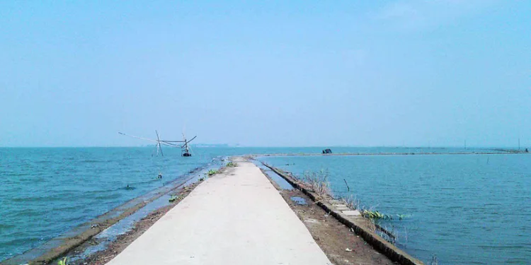 হালতির বিল