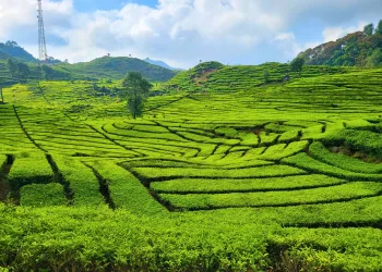 ষাঁড়ারগঞ্জ পাহাড়