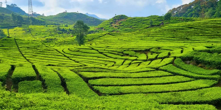 ষাঁড়ারগঞ্জ পাহাড়