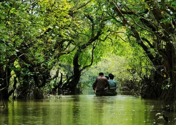 বাংলার আমাজন ‘রাতারগুল’
