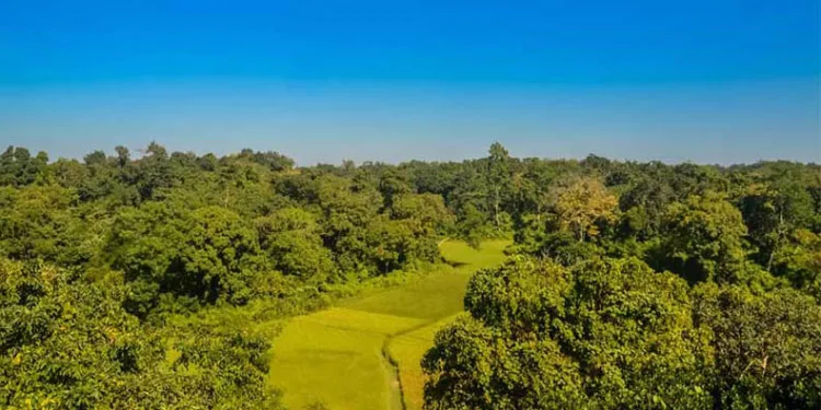 হবিগঞ্জের উল্লেখযোগ্য ৮ গন্তব্য