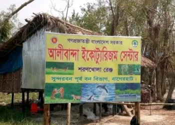 Shuningdek, jinsiy aloqa