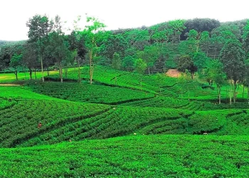 গরমে শীতল ছোঁয়ার খোঁজে সেরা ভ্রমণ গন্তব্য