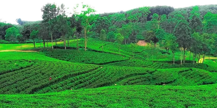 গরমে শীতল ছোঁয়ার খোঁজে সেরা ভ্রমণ গন্তব্য