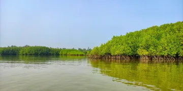 সুন্দরবনকে ঘিরে পর্যটন: সংরক্ষণ, জীবিকা ও উন্নয়নের সমন্বিত পথ
