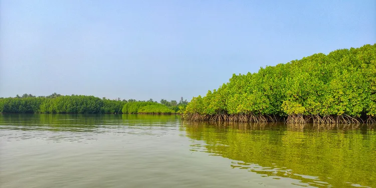 সুন্দরবনকে ঘিরে পর্যটন: সংরক্ষণ, জীবিকা ও উন্নয়নের সমন্বিত পথ